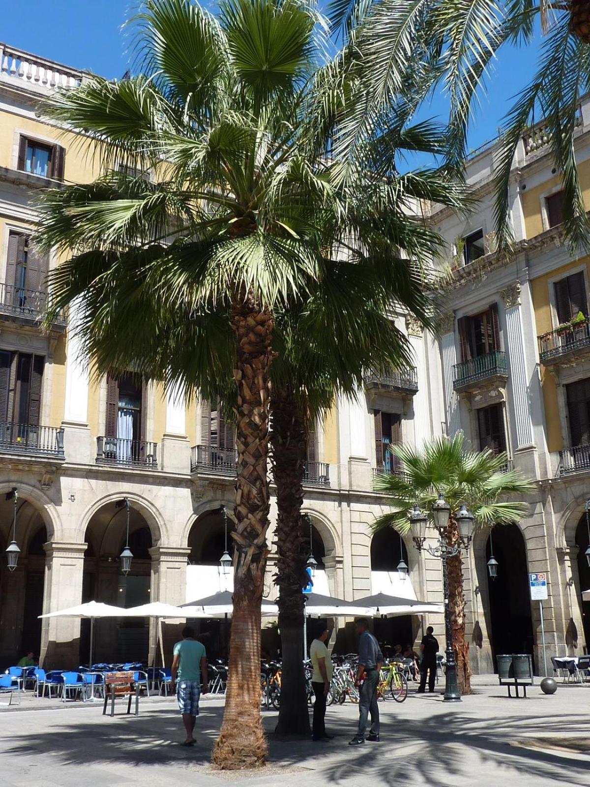Roma Reial Hotel Barcelona Luaran gambar